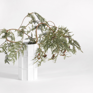 How to See Plants by Christophe de la Fontaine DANTE - Goods and Bads