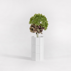 How to See Plants by Christophe de la Fontaine DANTE - Goods and Bads